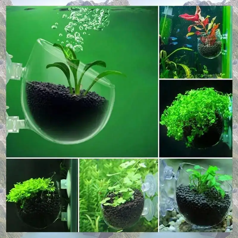 

2025 Trend 16PCS Aquatic Plant Cups Set Kit Transparent Acrylic Aquatic Plant Pot Set With Suction, Aquarium Decoration 2 Shapes