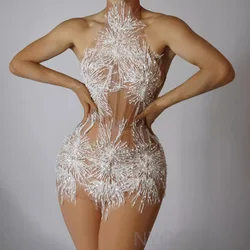 White Snowflake Pearl See Through Mesh Women Stunning Dress Party Birthday Sexy Carnival Performance Stage Costume