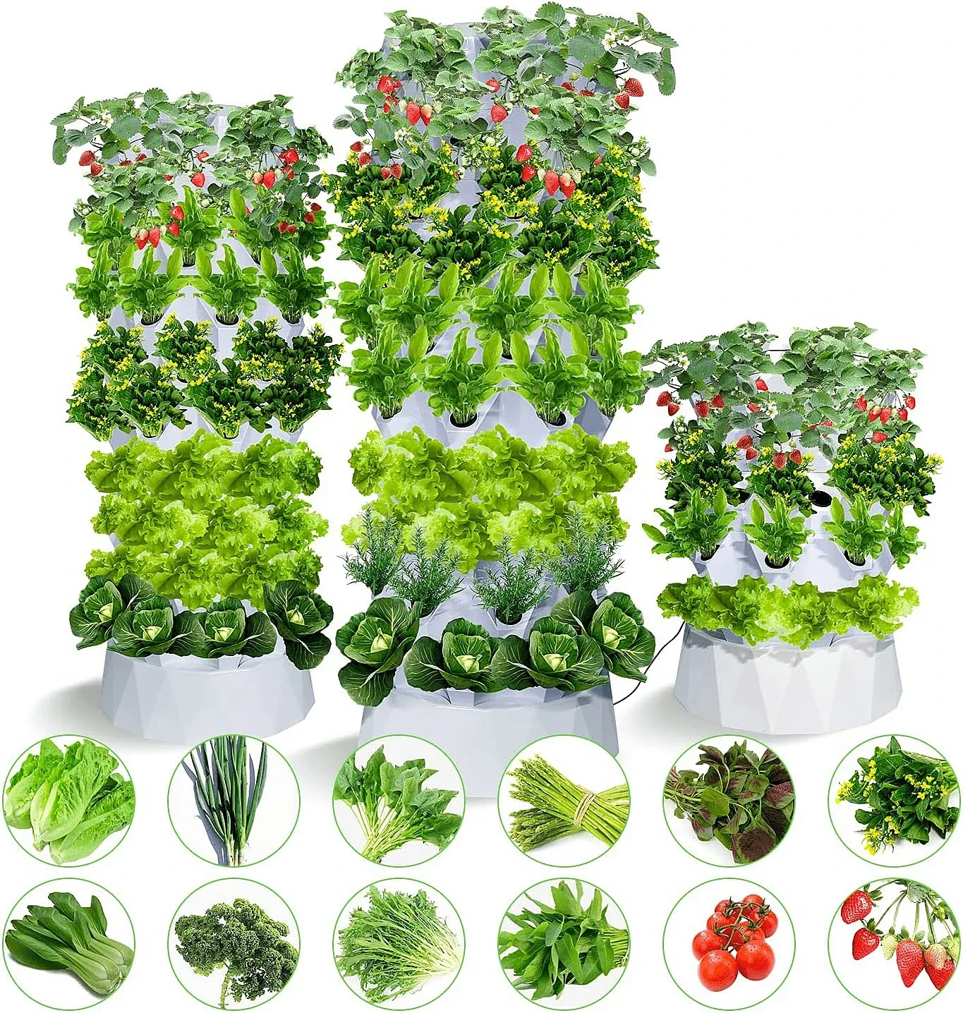 Small Size Hydroponic Greenhouse Vertical System Motor-Ventilated Shipping Container Farm for Growing Lettuce Leafy Vegetables