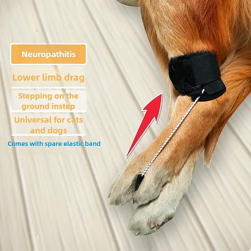 Soporte para Patas Traseras de Perros Discapacitados, Ayuda para la Parálisis en Gatos y Perros, Recuperación de Artritis