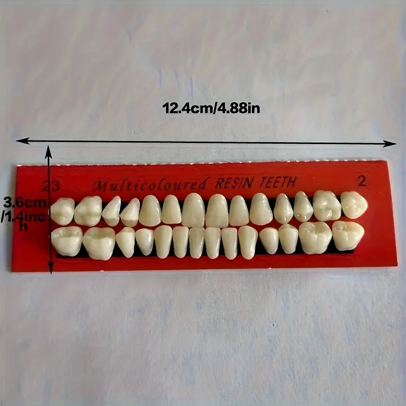 28 wielokolorowych żywicznych zestawów zębów, odpowiednich do praktyki dentystycznej - realistyczny model protezy,
