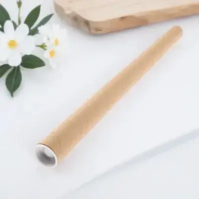 Paper Poster Holder Reusable Sturdy Round Storage For Artwork Documents Plans Drawing Case Kraft Mailing Tube Portable