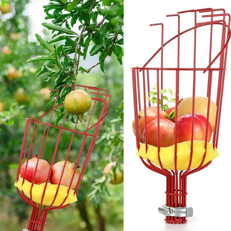 

Fruit Picker with Telescopic Handle basket fruit plucker Garden Basket Portable Fruit Picking Tool Detachable Fruit Catcher