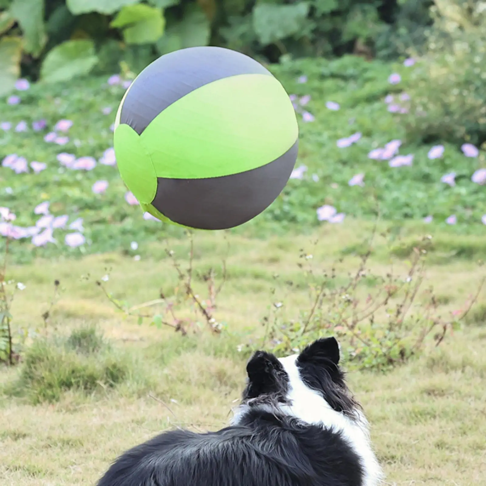 Pelota de Pastoreo Grande para Perros, Pelota Inflable Gigante para Entrenamiento de Cachorros, Juguete para Dueños de Mascotas, Amantes de los Animales, Entrenadores, Jardín