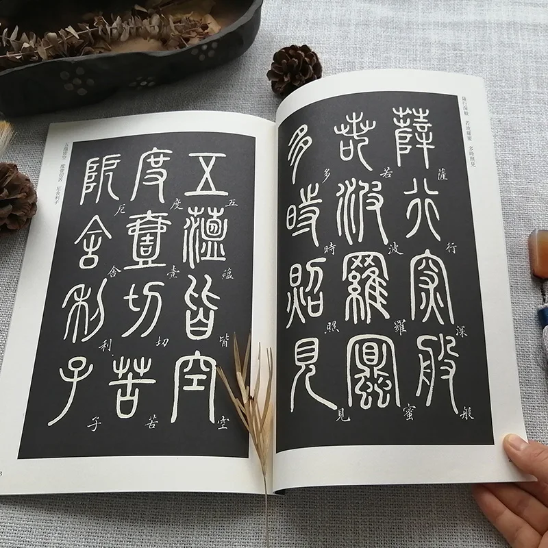 Seal Script Official Script Brush Copybook Chinese Original Seal Inscription Rubbing Copybook Deng Shiru Brush Calligraphy Book