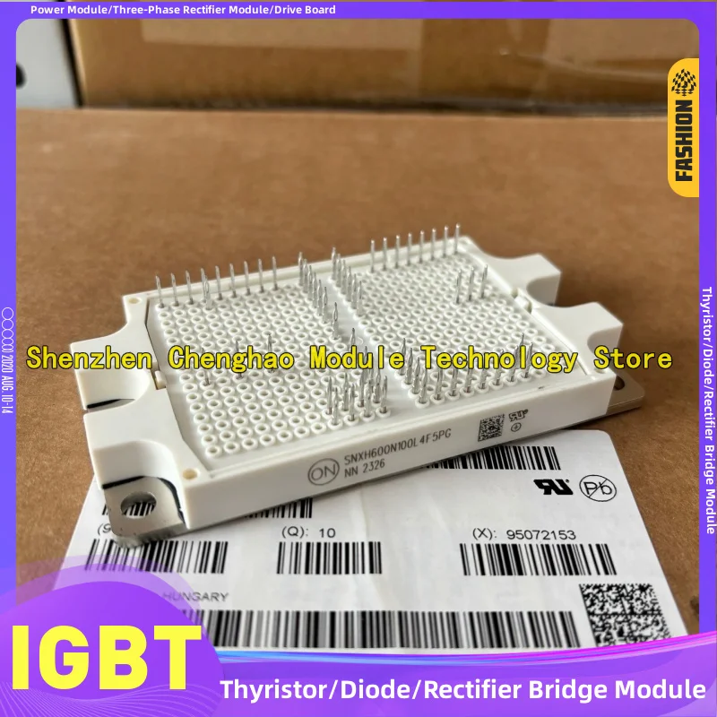 SNXH600N100L4F5PG IGBT Module