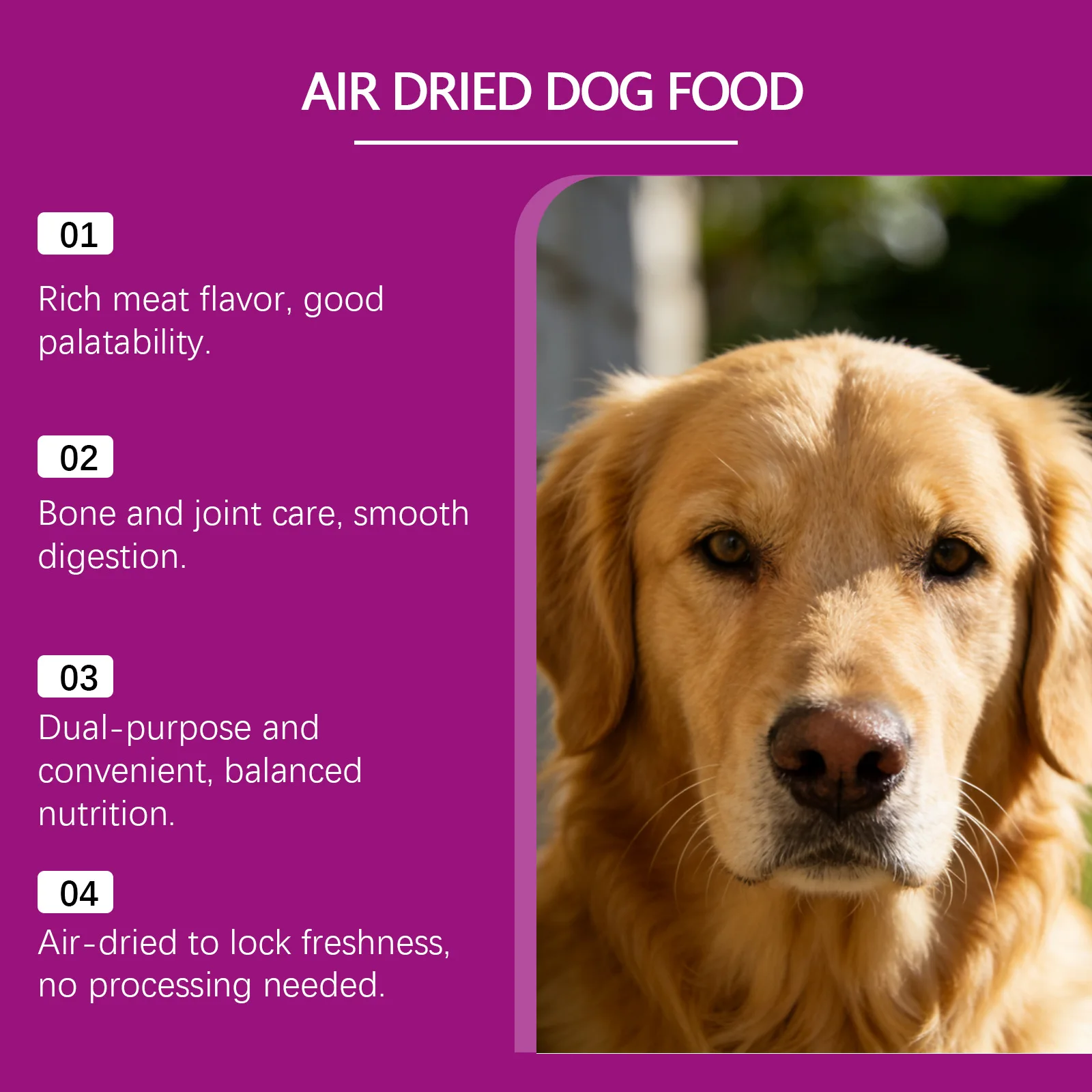 Air Dried Dog Food 150g, Low Temperature Dried Turkey Recipe Balanced Nutrition Easy Chew Dry Dog Food for Puppies Adult Senior