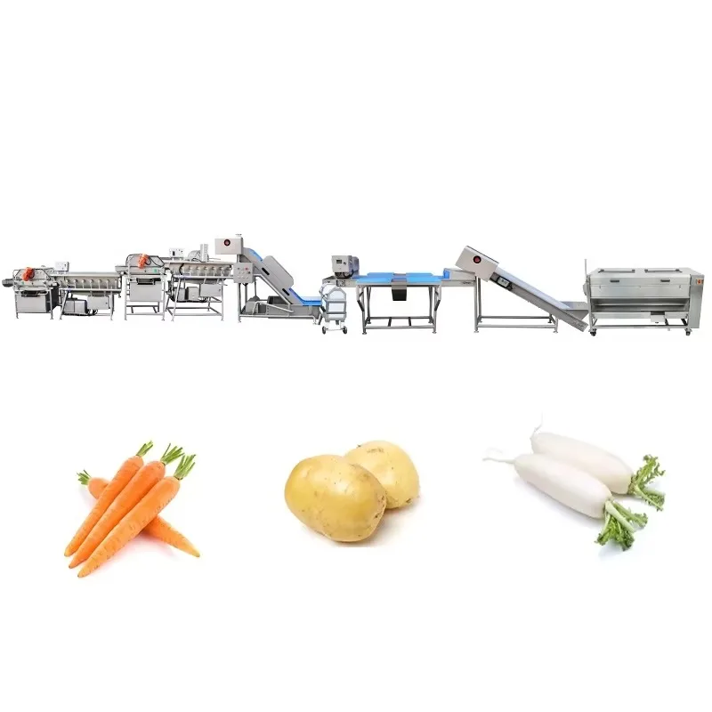 Lettuce Onion Tomato Leaf Vegetable Cleaning Machine Potato Cleaning and Peeling Machine Customized