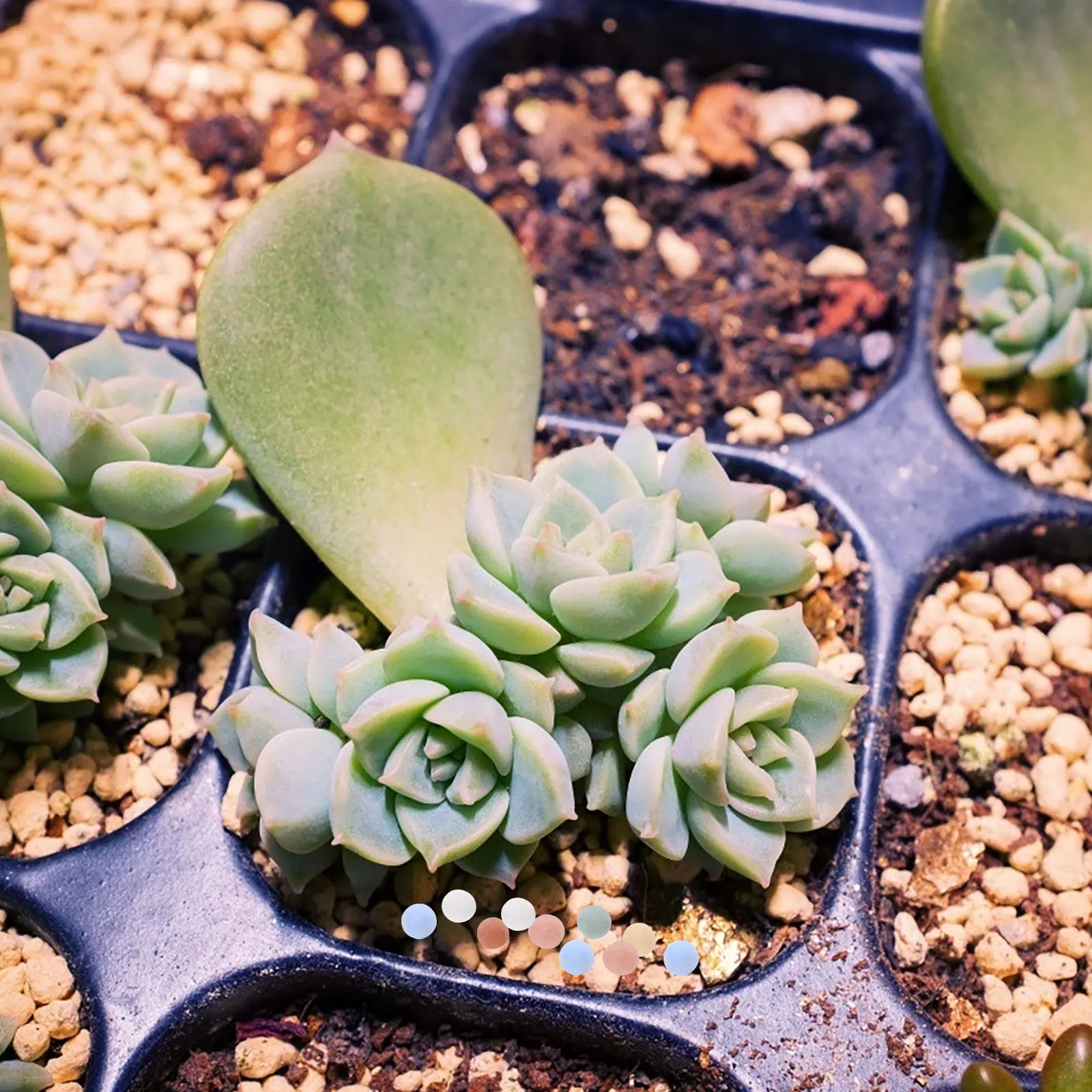 

1 Bag Round Ceramic Pebbles Air Permeable Substrate Stone for Succulent Plants Potted Flowers Bonsai Landscaping Decor