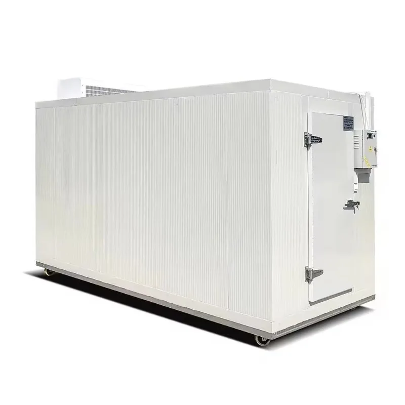 Quality Cold Room Storage Hot Selling Walk in Cold Room with Durable Materials for Efficient Cooling and Food Storage