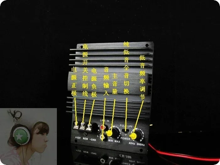 300W 12V high-power full-tone subwoofer imported tube amplifier board 10 inch 12 inch trapezoidal box subwoofer