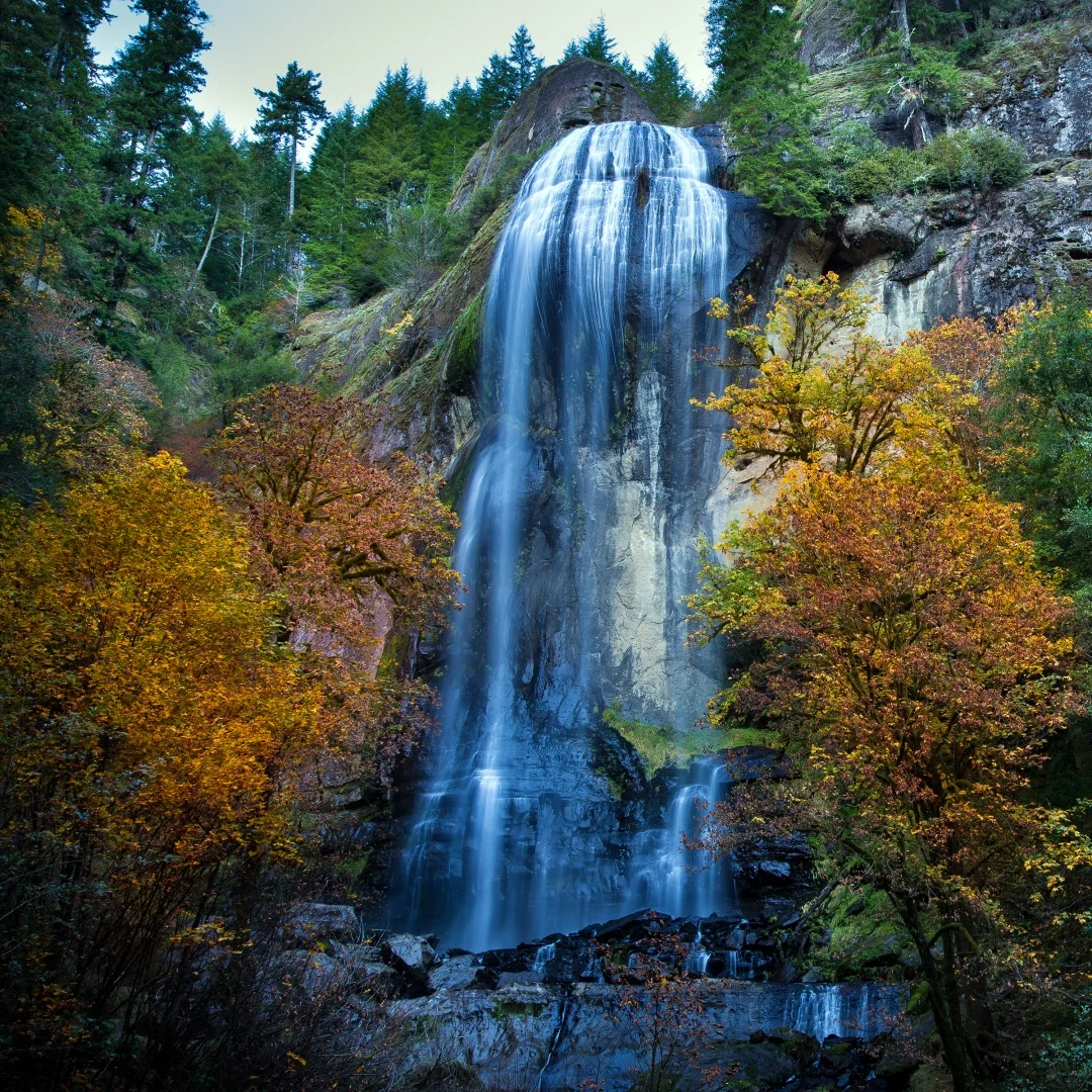 

FJY 1920*720 QLED Android 13 Screen Multimedia Video Player For TOYOTA Highlander CROWN KLUGER CarPlay Car Radio Autoradio GPS