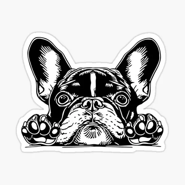 Boston Dog Creative Pet Cute PVC Car Sticker for Decorate Car Van Motorcycle Helmet Fridge Table Room Door Decal Accessories