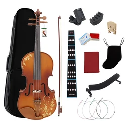 Violin 4/4 Professional Acoustic Solid Wood Carved Violin Fiddle Sets with Case Bow Beginner Musical Instrument Gift Accessories