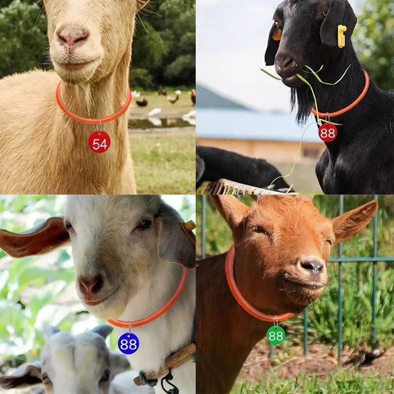 Livestock Cow Sheep Adjustable Grazing Collars Extra High Pressure Hose Anti-lost Collar Add Cattle Copper Bells Tracker