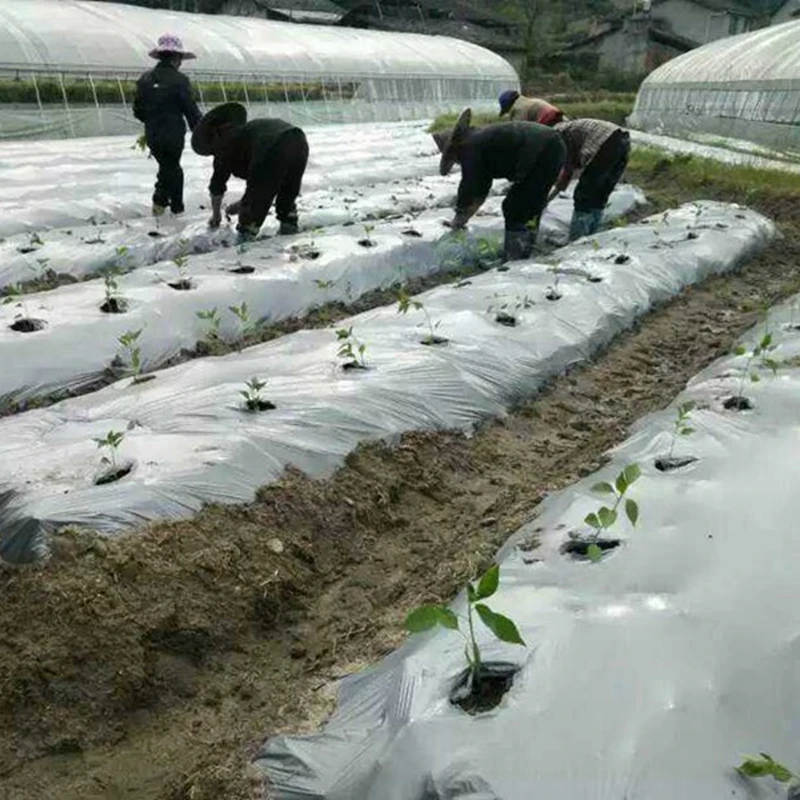25m 0.012mm Silvery Black Reflective Plastic Mulch Film Agricultral Orchard Tee Planting Film Garden Fruits Plants Care Cover