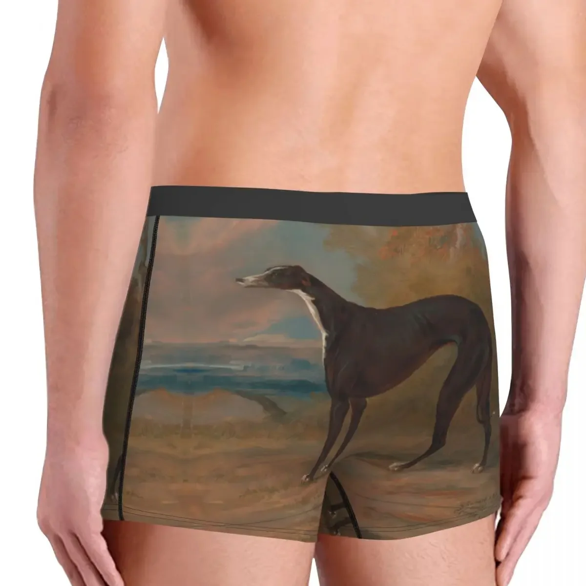 Vintage Men Boxer Briefs Underwear Greyhound Dog Animal Pets Highly Breathable High Quality Birthday Gifts image 4