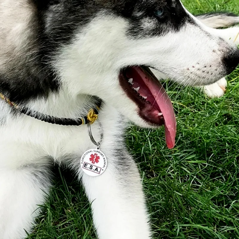 Esa emotionale Unterstützung Tier Hunde marke Edelstahl rot Medical Alert Service Hund Anhänger Schlüssel bund Schlüssel anhänger – Detail 3