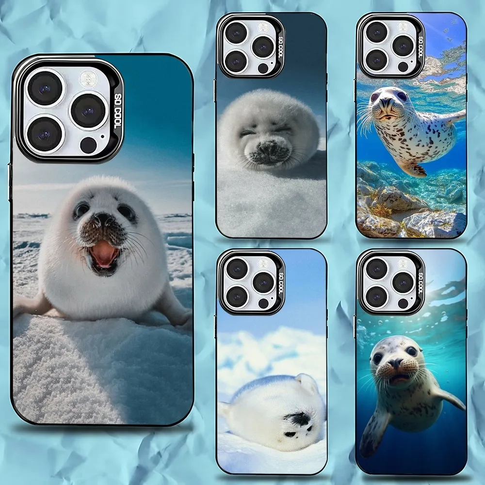 

Seal Animal Cute Phone Case For iPhone 16,15,14,13,12,11,Pro,Max,Plus,Mini,XS,SE Anti Fall Black Matte Hard Bumper