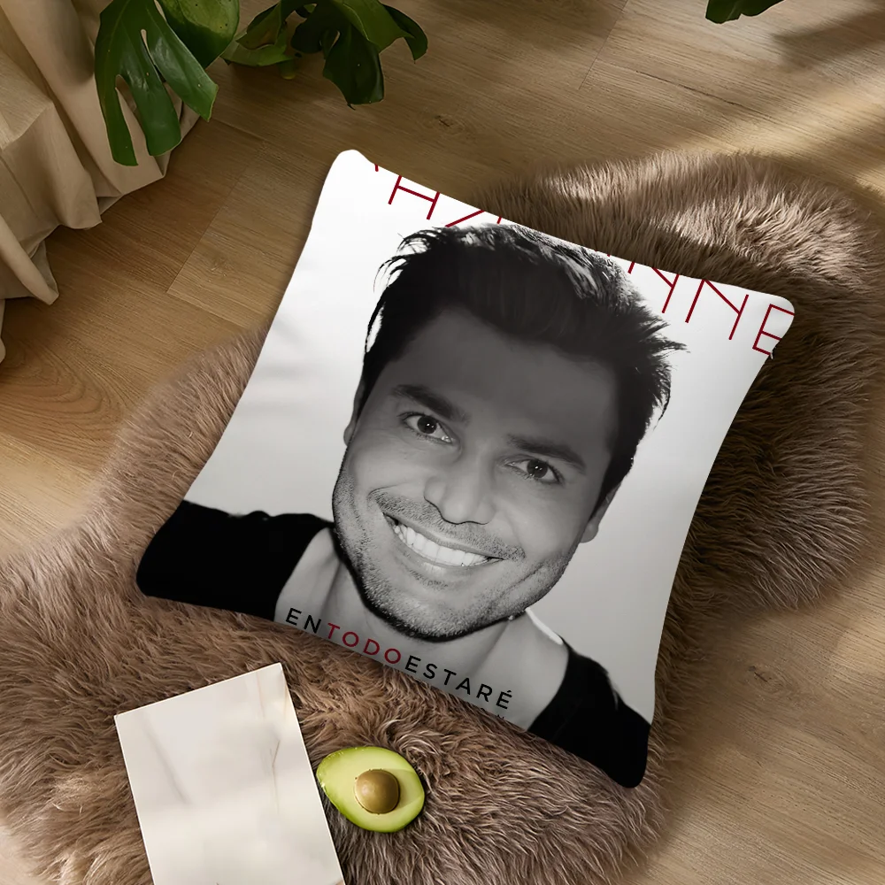 Singer C-Chayanne P-Puerto Kissenbezug für Wohnzimmer, Akzent-Sofakissen, Rückenstützkissen, quadratisches Lounge-Kissen, Kissenbezug für erholsame Nickerchen – Detail 9