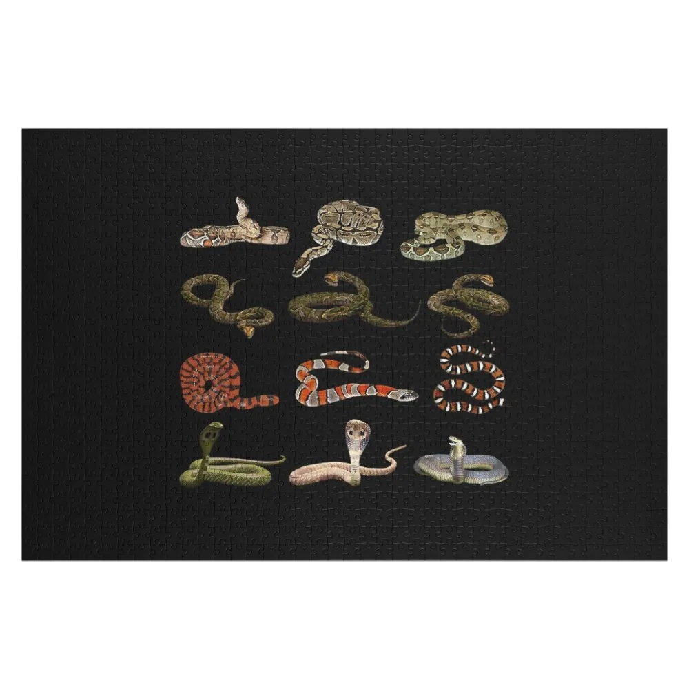 

Different Types Of Snakes Educational Serpent Jigsaw Puzzle Wood Name Custom Personalized Gifts Puzzle