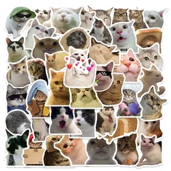 Bonito Meme Animais Adesivos, Gato, Gatinho, Skate, Guitarra, Mala, Congelador, Motocicleta, Decalque de brinquedo clássico, Adesivo engraçado, 50Pcs