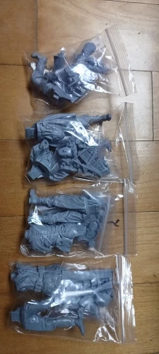 Buyer photo of this resin kit