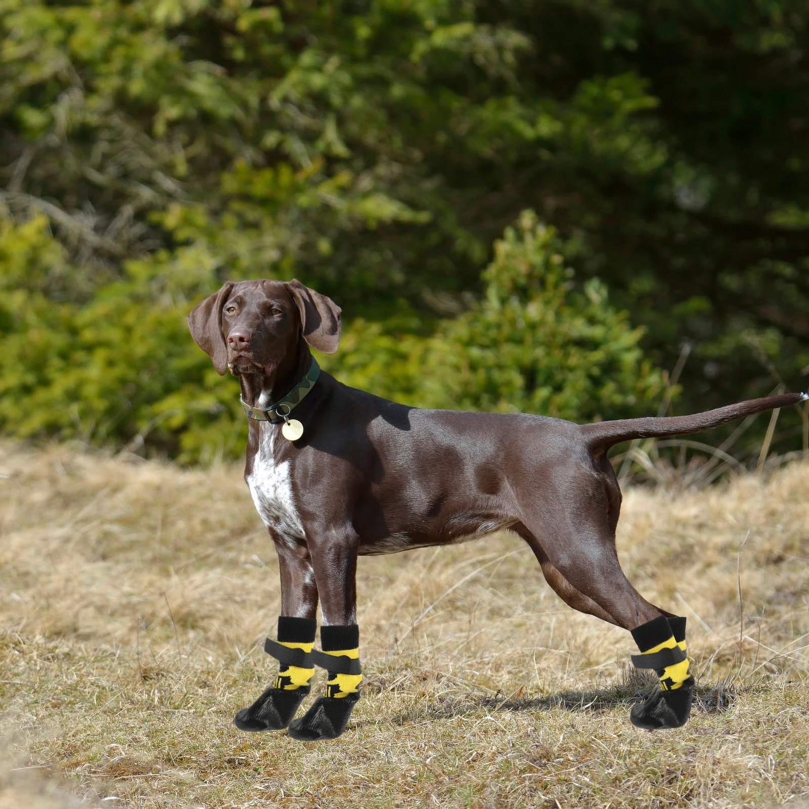 

Accessories Waterproof Dog Shoes Paws Pet Sock Knitting Outdoor Walking Socks Washable