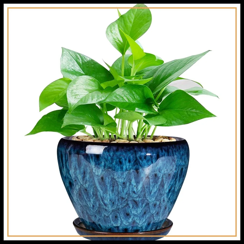 

6 Inch Ceramic Glaze Succulent Planter Pot with Drainage Hole and Saucer for Indoor Outdoor Plants