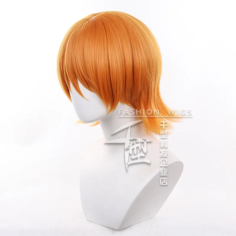 HOLOUN ONE Anime Egghead Island Nami Sanji Cosplay Wig Synthetic Fiber Rose Net Cos Convention Halloween Christmas