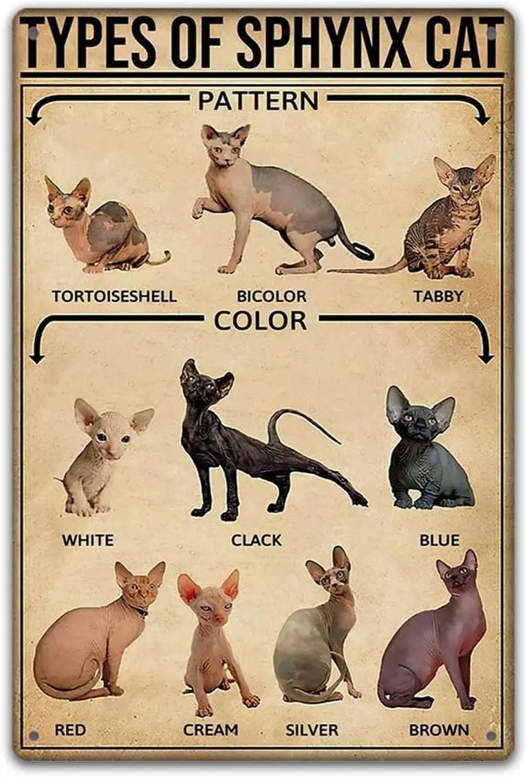 TRITXIY Metal Retro Decorative Signage, Sphynx Cats Poster, 12x16inch sign