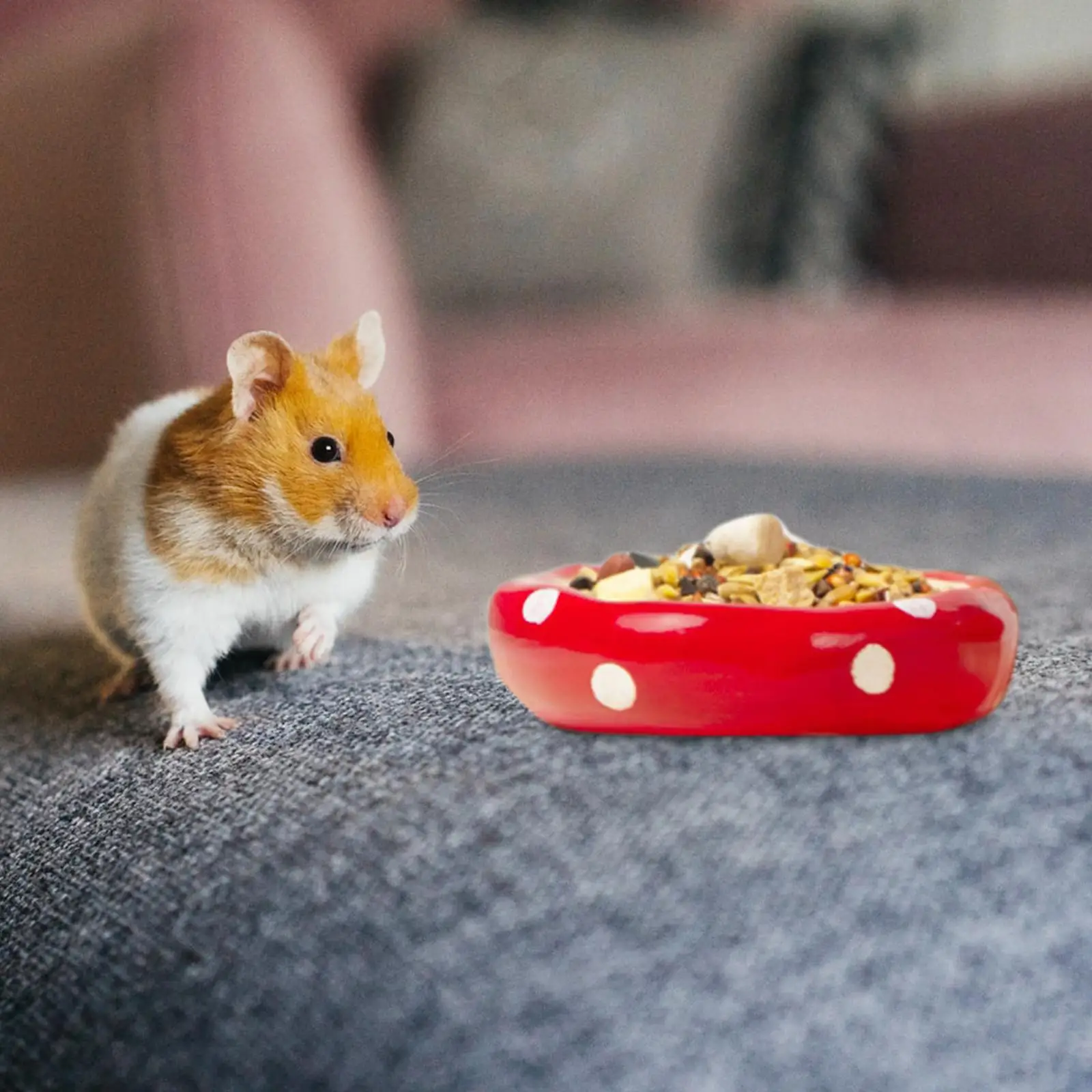 Maison de Hamster en céramique pour petits animaux, grotte de champignons en plein air, nourriture p
