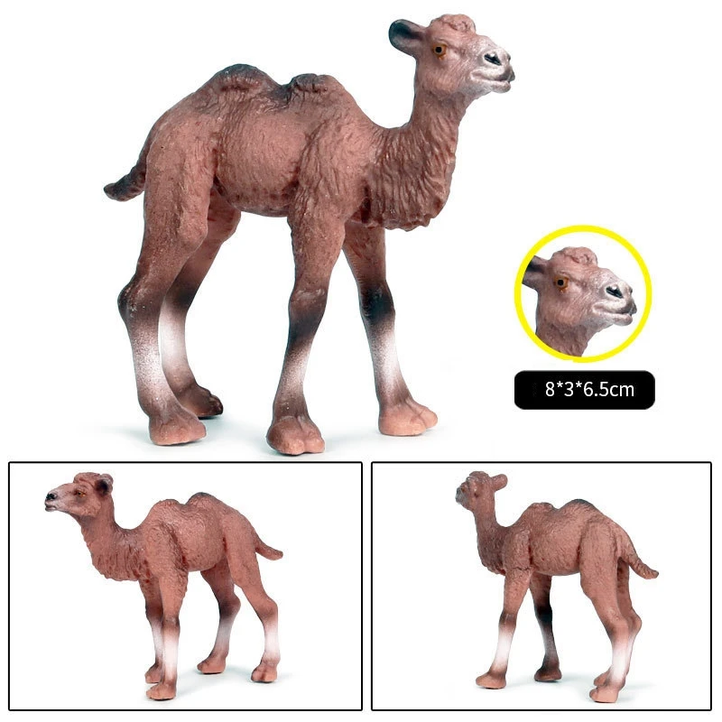 Camel Toys Figurines Wild Animal Model Llama Toys For Nature Science Learning,Wildlife Theme Party Supplies Cake Toppers