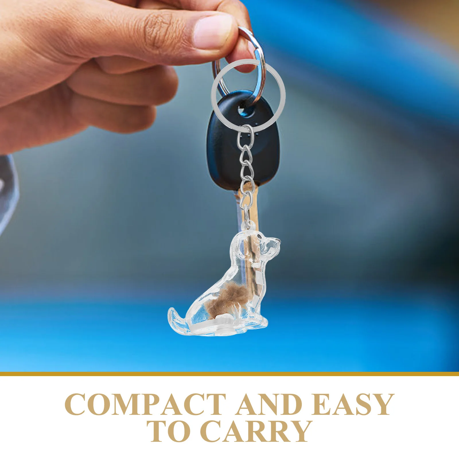 2Pcs Transparent Dog Hair Collector Keychain Pet Hair Keepsake Box Portable Storage Capsule Memorial Gift Organizer Pendant