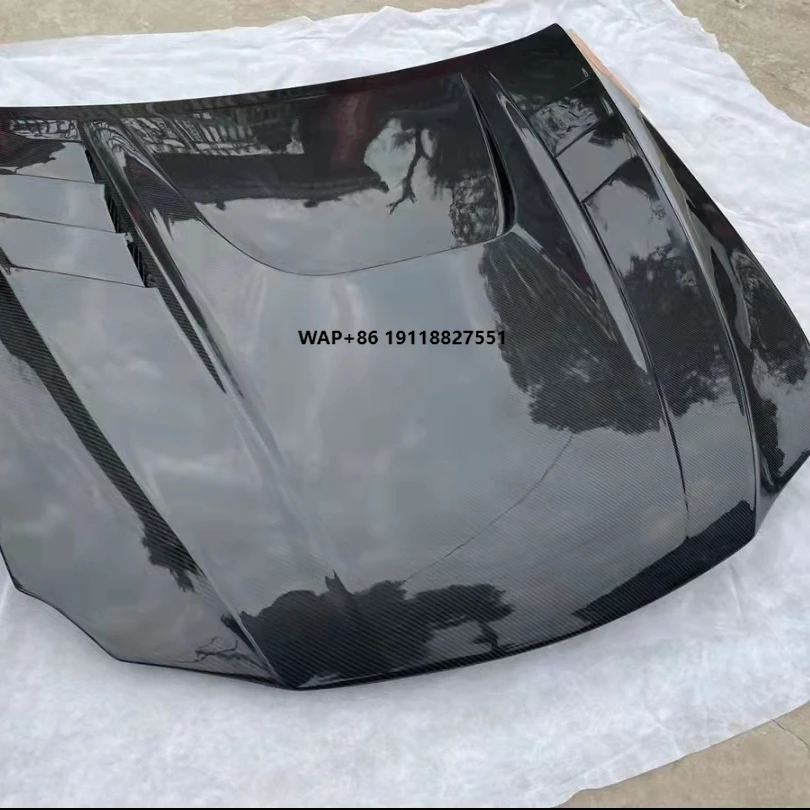 

Lightweight Open-Hole Hood for IS Series IS300 IS250 IS200 Excellent Modified Carbon Fiber Cover New Condition Clips