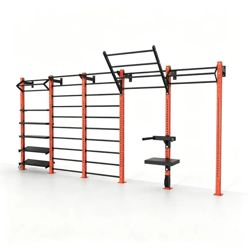 Rugged Wall Mounted Stainless Steel Training Rack Multi Layer Gym Storage Shelf Monkey Bar Back Triceps Exercise Station