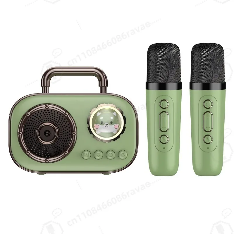 Portable BT5.0 Wireless Karaoke Speaker System, Plastic with Dual Microphones, for Home Entertainment & Outdoor Singing