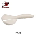 PA12