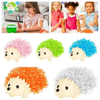 ชุดของเล่นเม่นปลูกคริสตัลใหม่ชุดของเล่นวิทยาศาสตร์แบบง่ายสำหรับปลูกฝังความสนใจ