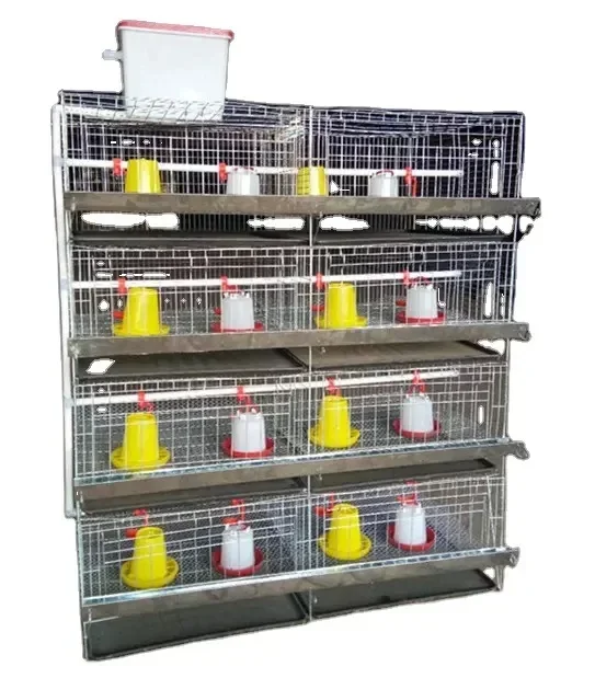 H Type Galvanized 3/4 Tiers Capacity 120-320 Birds Baby Chickens Pullet Brooder Cage Poultry Equipment For Farm In Uganda