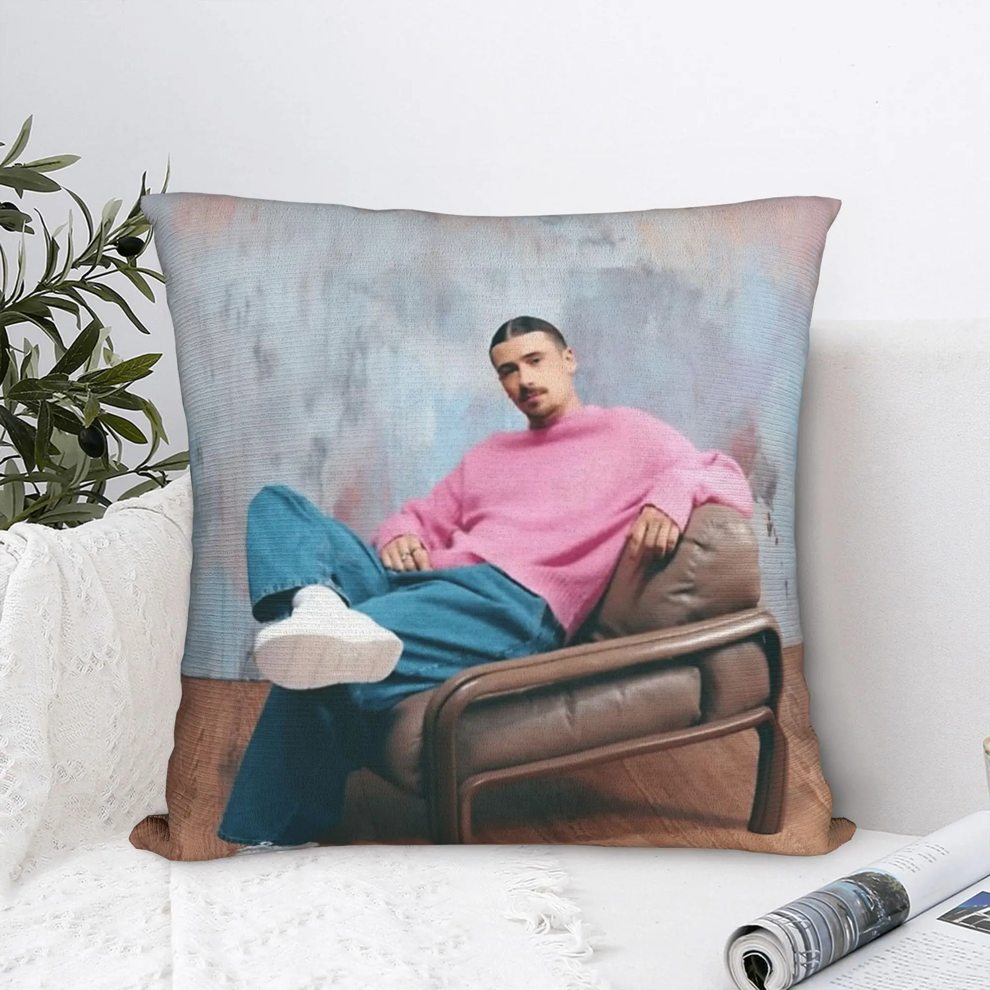 Funda de almohada para sofá Pierre Garnier, funda de cojín de poliéster estampada, funda de almohada decorativa para dormitorio, venta al por mayor, 45x45cm