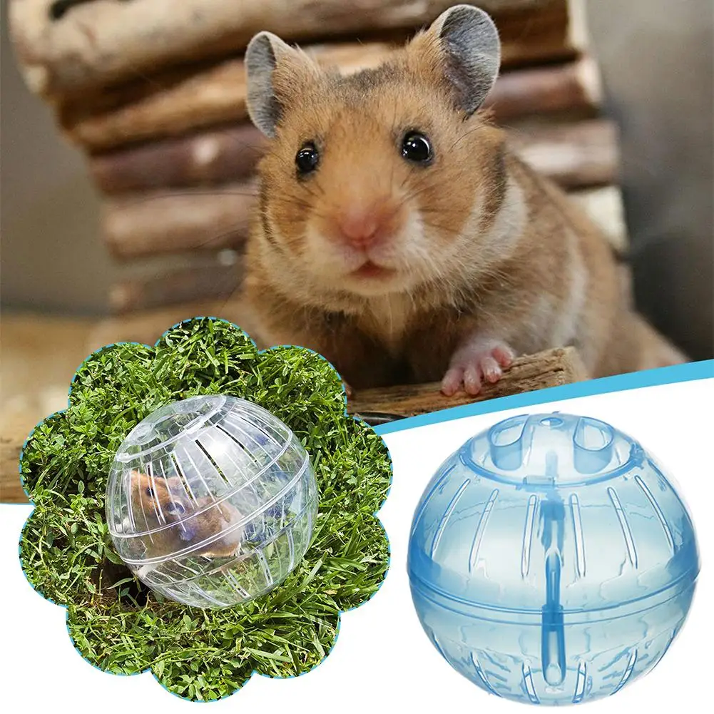 #8 Best Hamster Cages to Buy In 2026