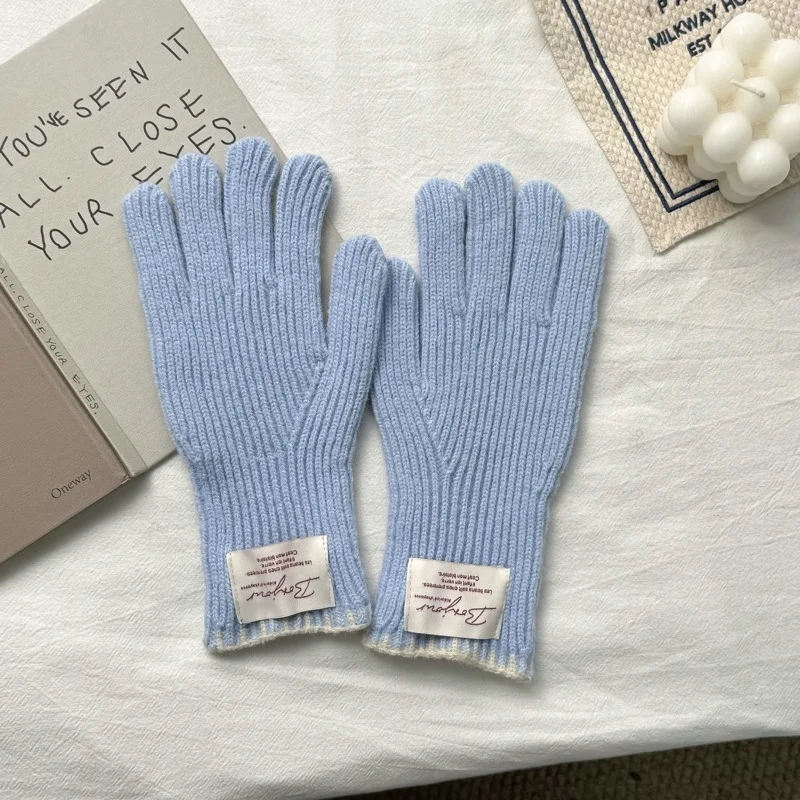 Korean Style Ins Cloth Label Knitted Gloves Female Autumn Winter Students Riding Warm Hand Guard Long Five-Finger Touch Screen