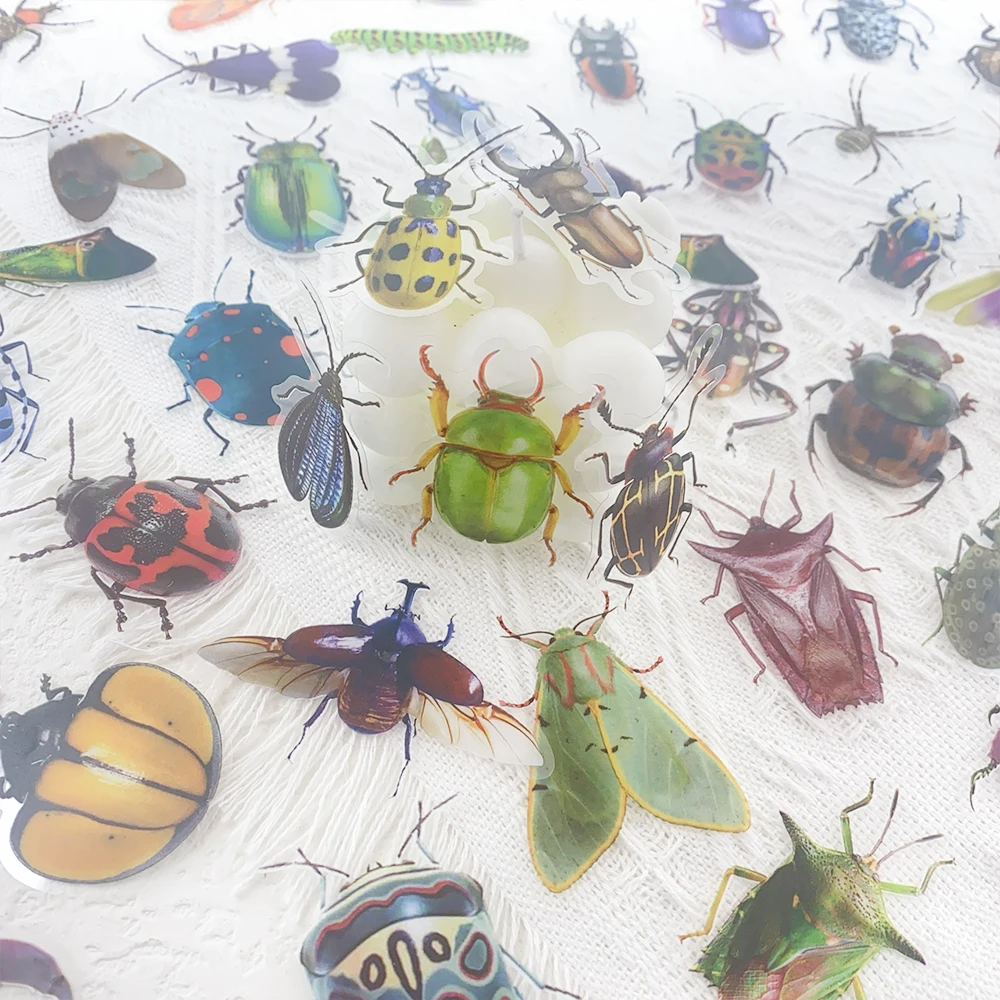 Autocollants insectes libellule en PET, étiquette transparente, pour téléphone, ordinateur portable, carnet de notes, Skateboard, guitare, DIY bricolage, 50 pièces