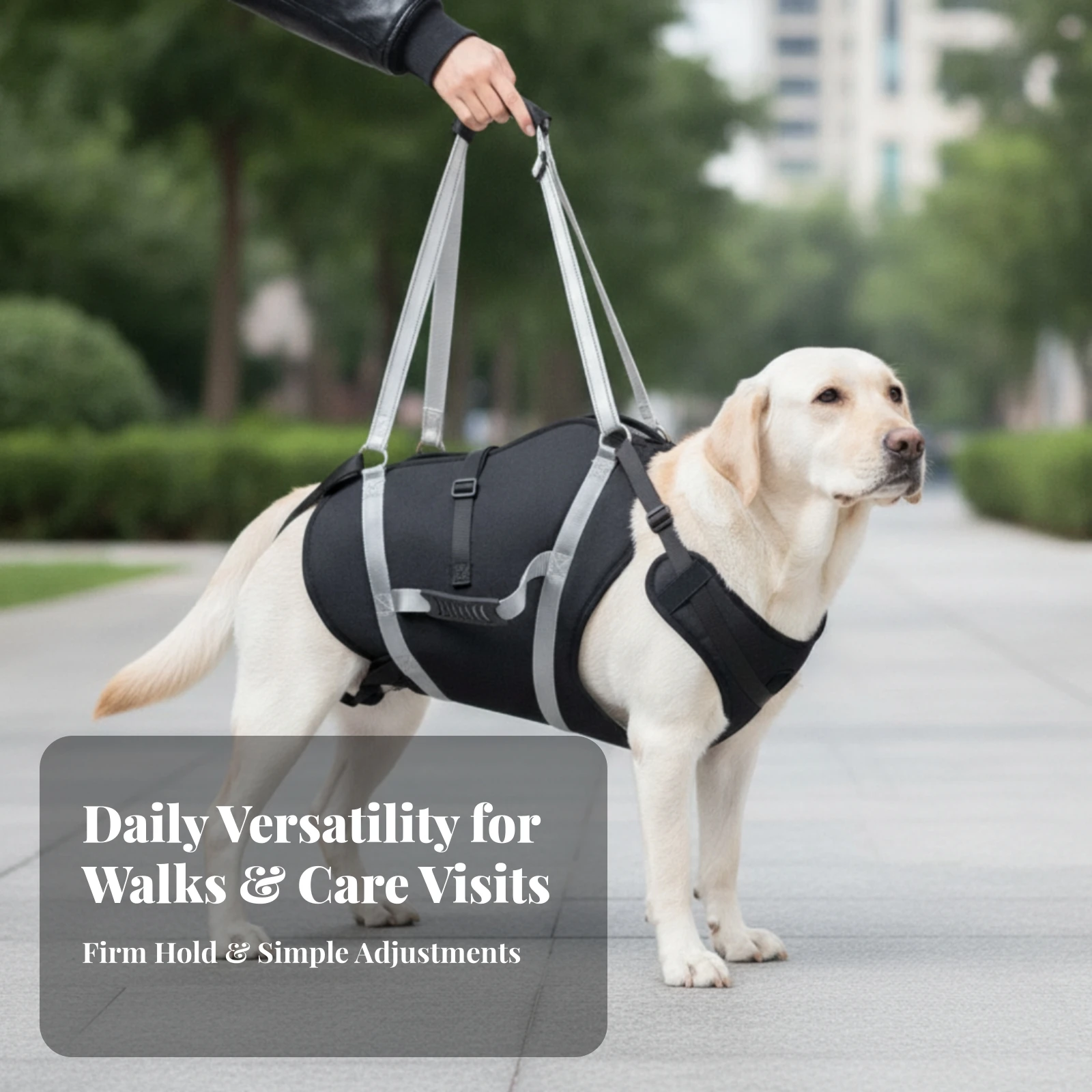Dog Support Harness with Reflective Straps Adjustable Dog Mobility Assistance Harness Polyester Comfortable for Senior Dogs