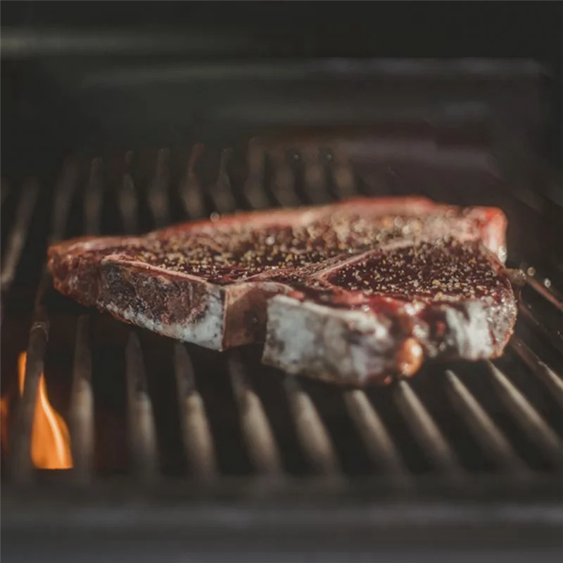 Thermopro 온도계 TP20 TP17 TP16 TP08S TP07 TP06용 2팩 고기 프로브 교체, 바베큐 프로브 홀더 클립 SSQ 2개 포함