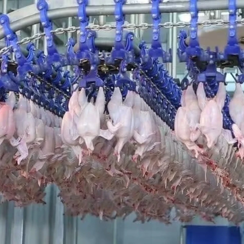 Customized Poultry Slaughter Line With Wax Dipping System Poultry Wax Dipping Machine For Fine Feather Removing