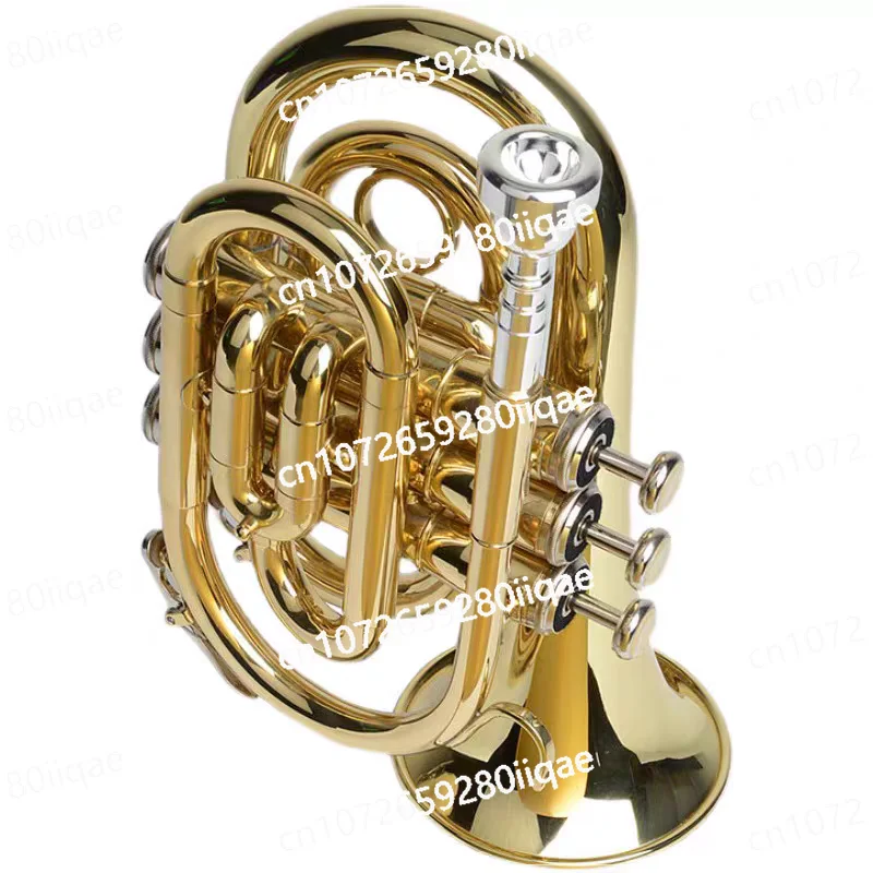 

Musical Instruments, Pocket Trumpet, Portable, B Flat