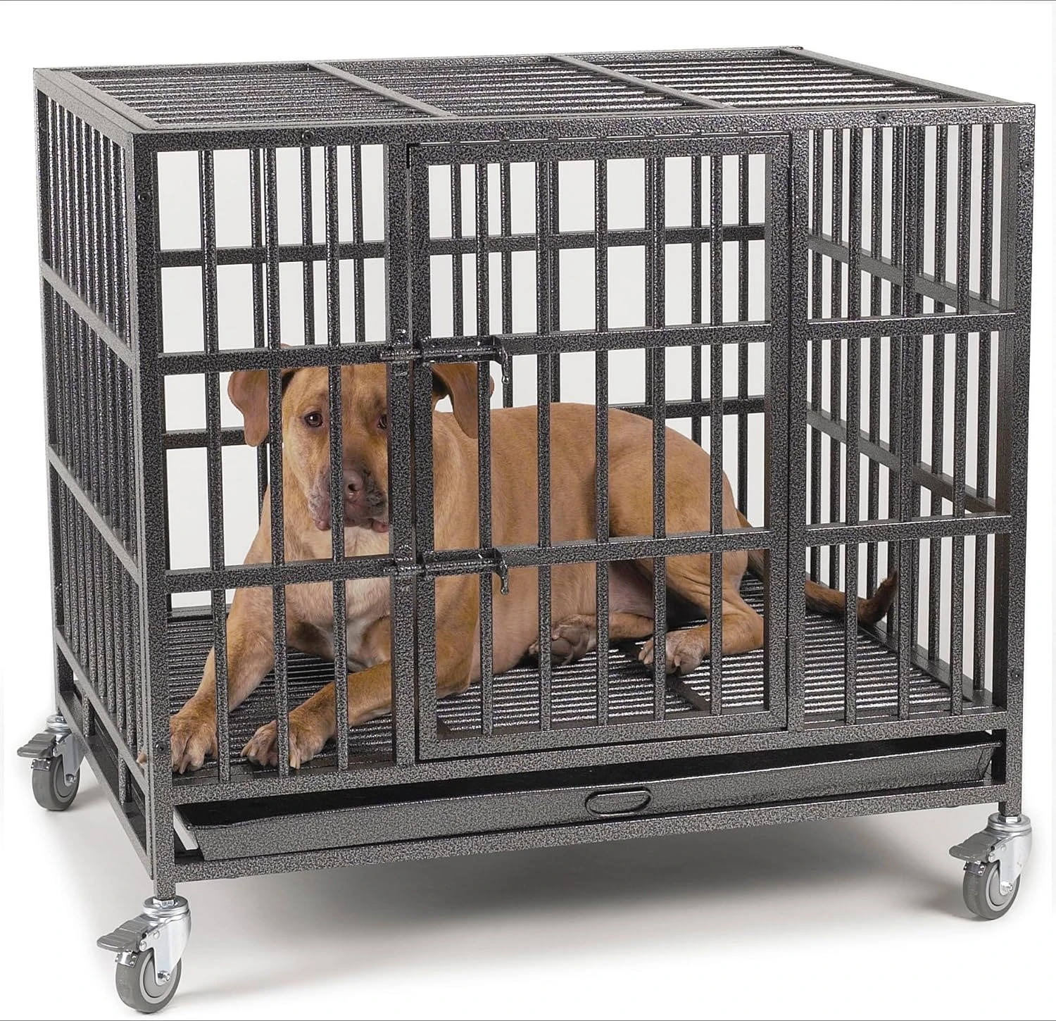 Empire Cage - LARGE