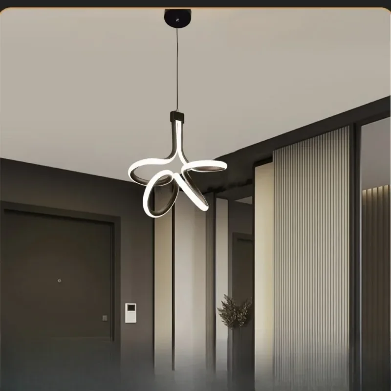 

Modern Minimalist Bedroom Dining Room Foyer Entrance Balcony Aisle Corridor Chandelier